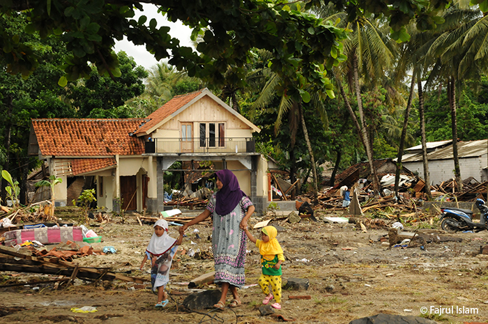 Buaya Saat Tsunami Banten