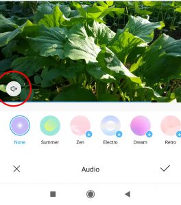Upload Video di Shutterstock Menggunakan HP