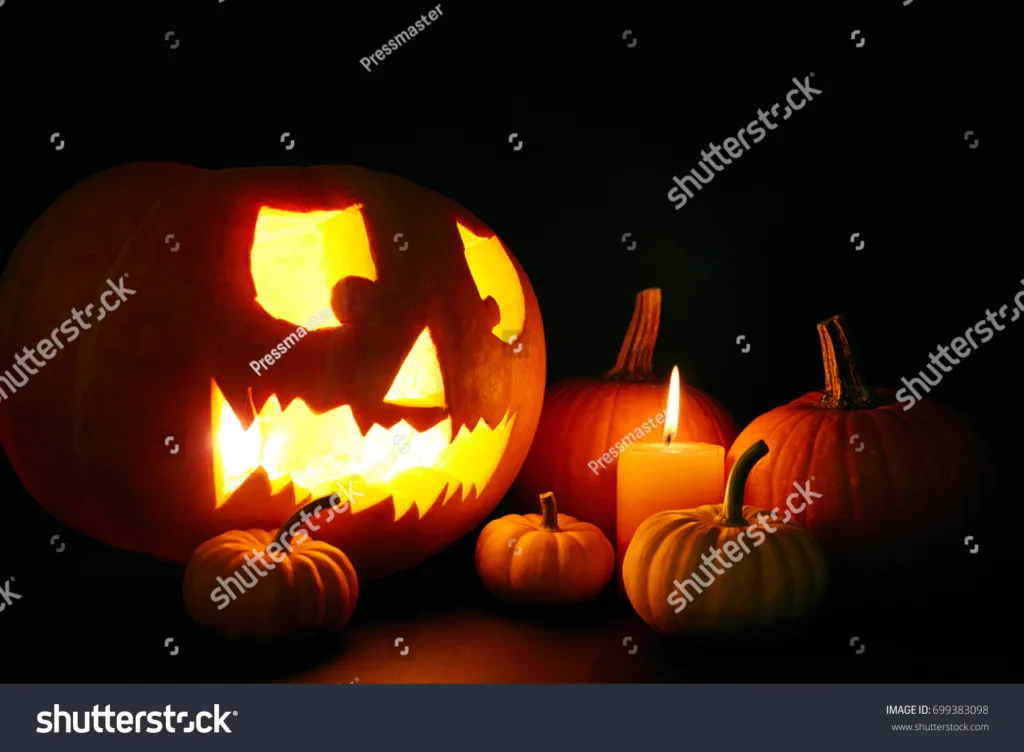 12 Ide Kreatif untuk Hasilkan Foto Laris Dijual di Shutterstock