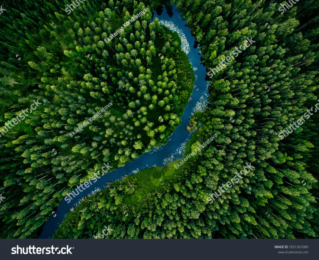 Ekosistem Air - ide foto hari air sedunia