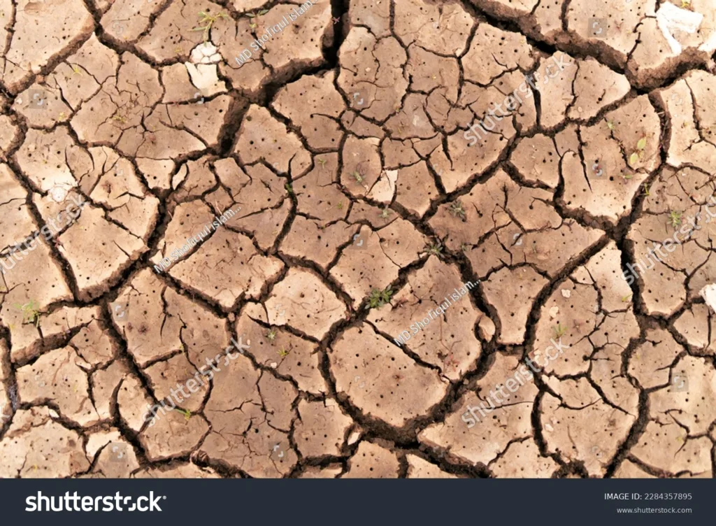 Krisis Air dan Kekeringan - ide foto hari air sedunia