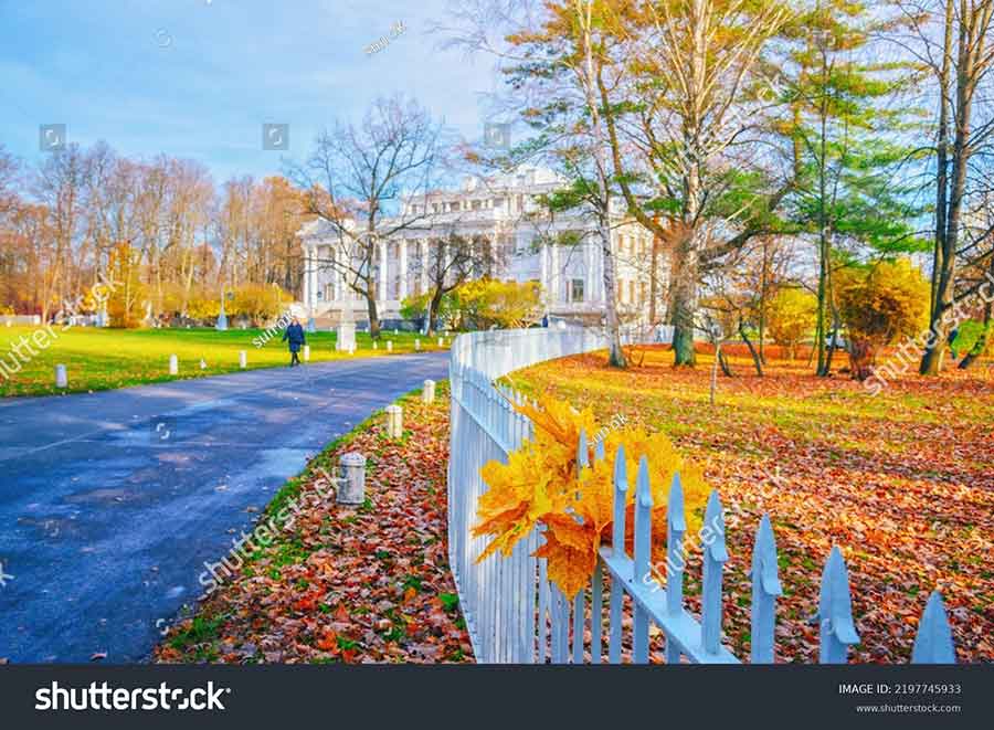 Tren Foto November: 5 Ide Kreatif untuk Meningkatkaan Penjualan di Shutterstock